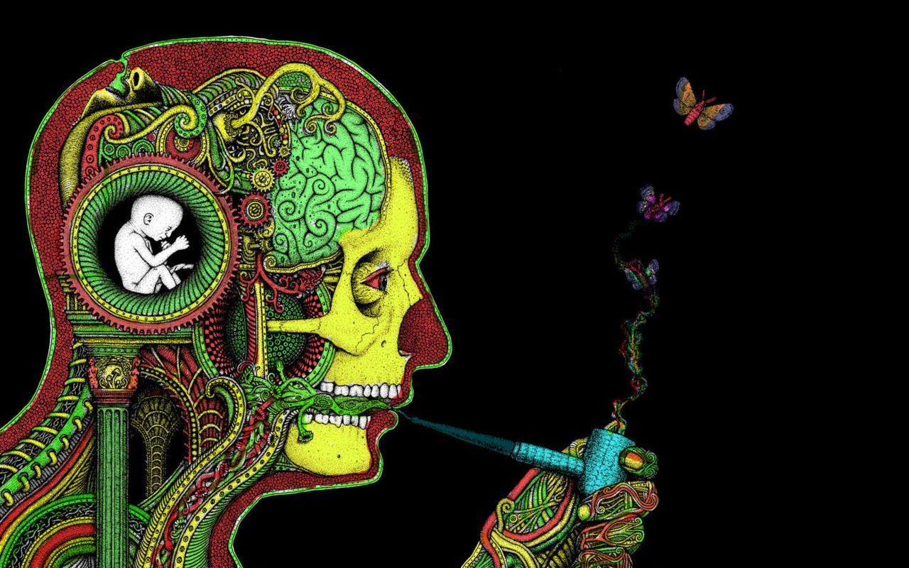 Inner System Of the Human Stoner - WeedPad Wallpapers