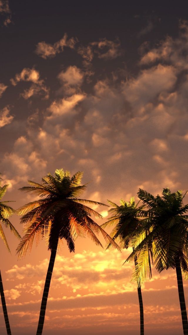 3D Palm Sunset iPhone 5 Wallpaper | ID: 3092