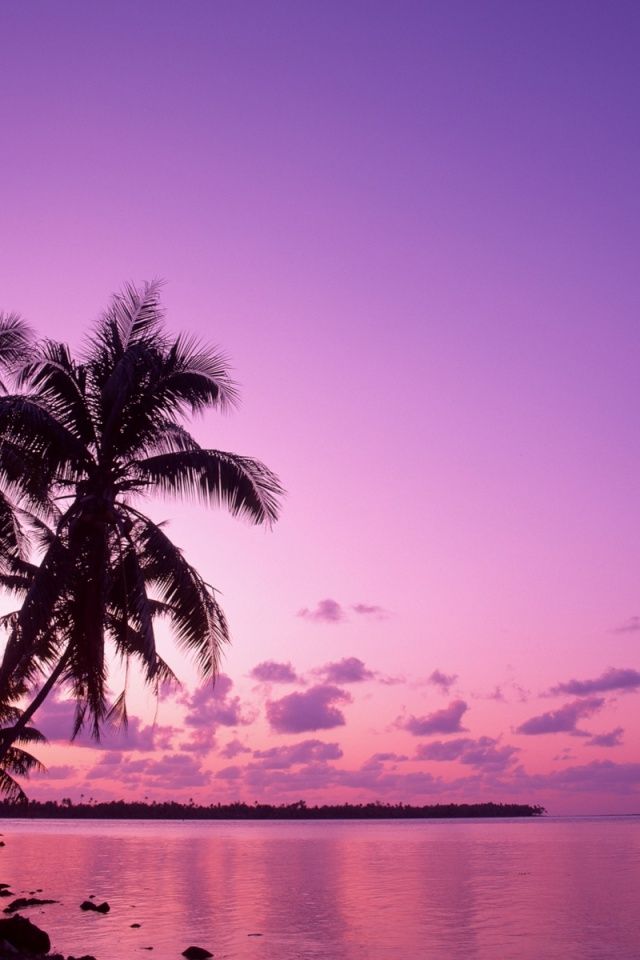 640x960 Pink sunset Iphone 4 wallpaper