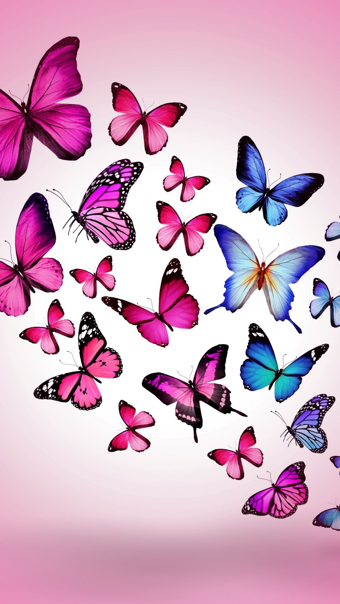 Butterfly Drawing Flying Colorful Background Pink iPhone 6 ...
