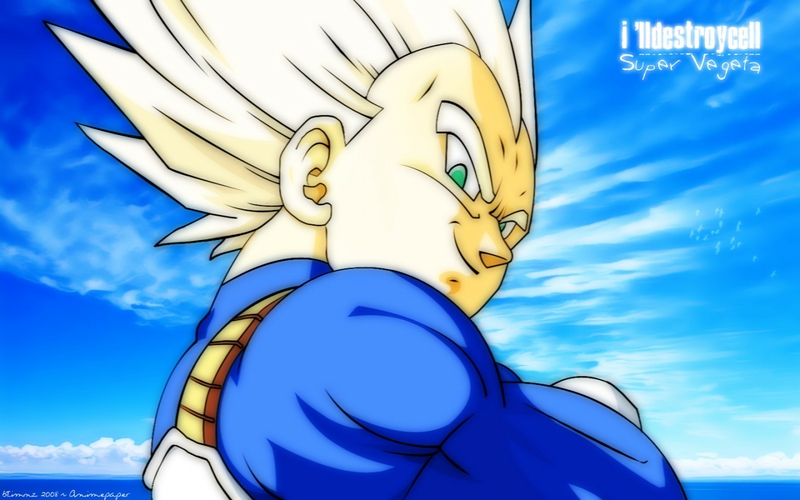 Vegeta Son Goku Saiyans Dragon Ball Z wallpaper, 1600x1200, 311949