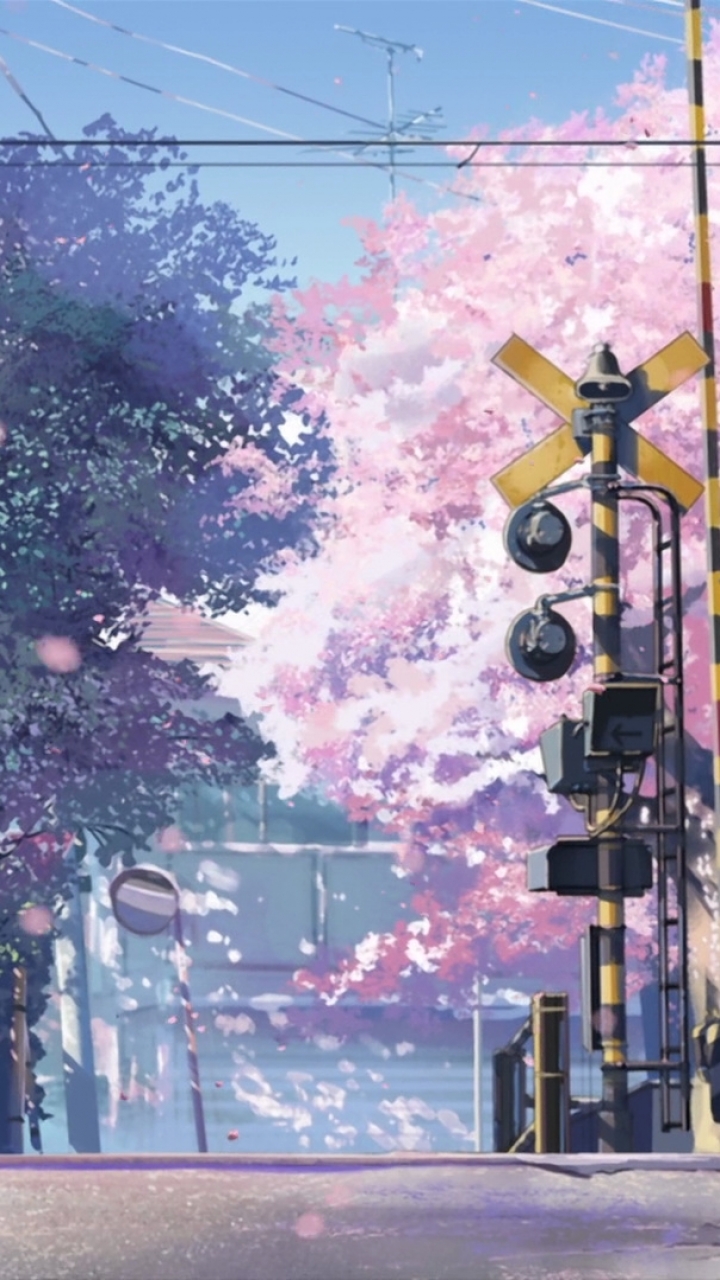 79 5 Centimeters Per Second HD Wallpapers Backgrounds