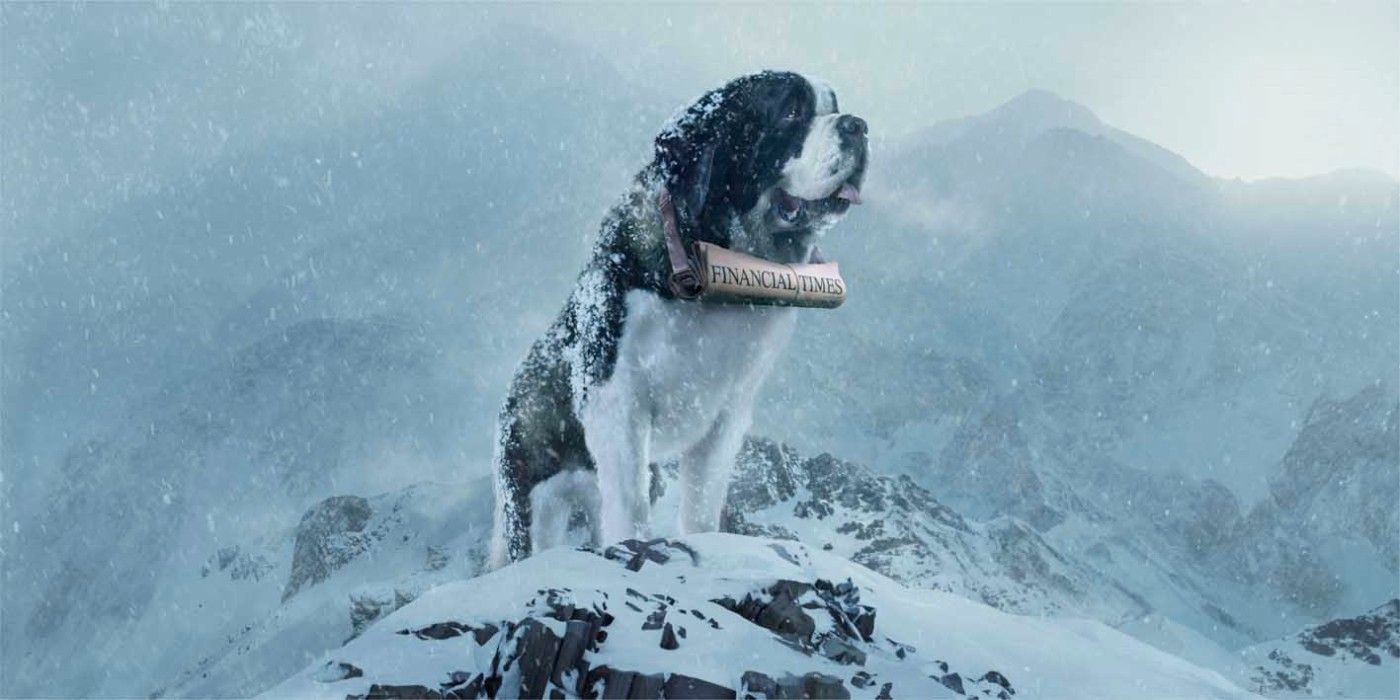 Winter Snow Saint Bernard Dog Wallpaper HD Cute Puppies and Dogs