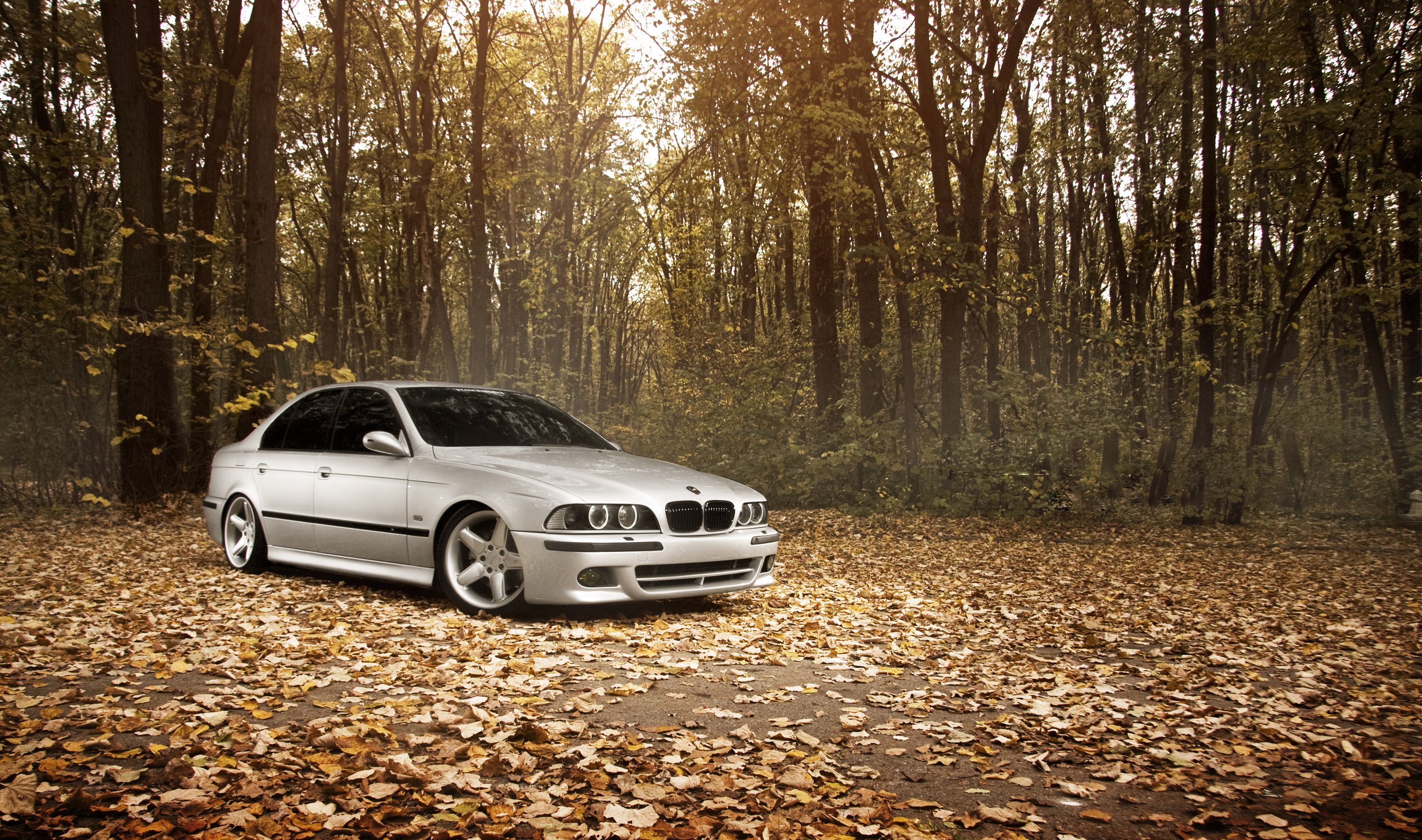 Download wallpaper bmw, m5 e39, stance works, fall, leaves, forest ...