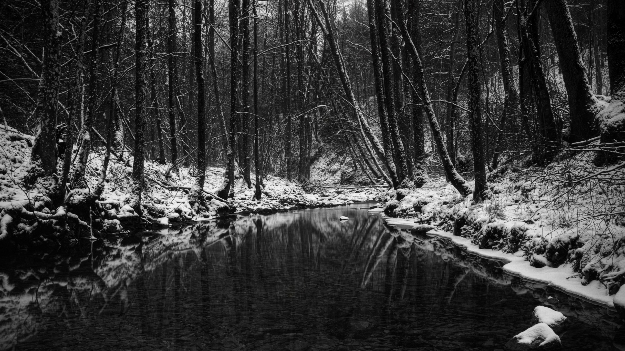 2560x1440 Winter in black and white desktop PC and Mac wallpaper