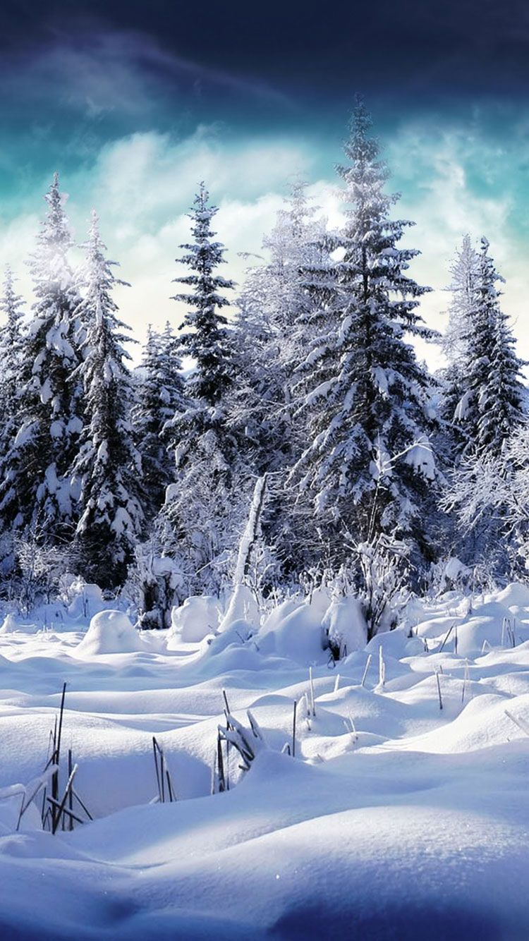 25 Winter iPhone Backgrounds