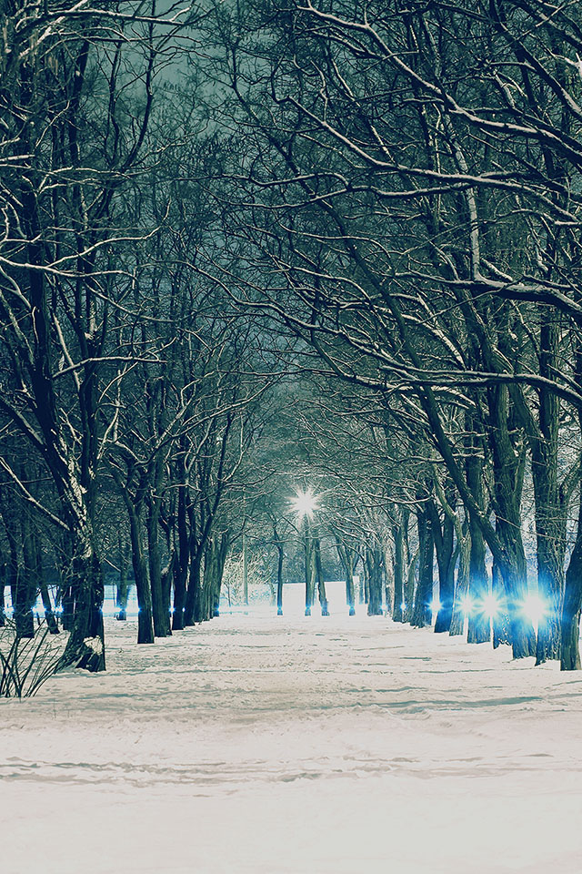 FREEIOS7 | winter-light-2 - parallax HD iPhone iPad wallpaper