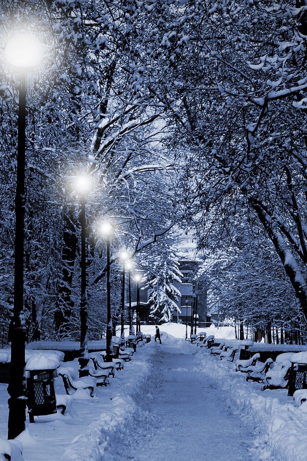 Winter Background Wallpapers | WIN10 THEMES