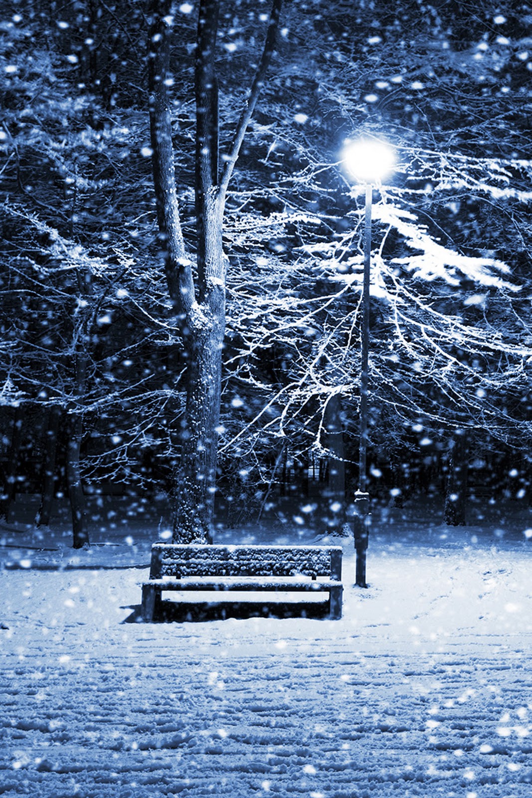 New Winter Iphone Wallpaper Photo Backgrounds