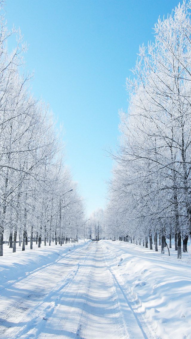 Winter iPhone 5 wallpaper and background
