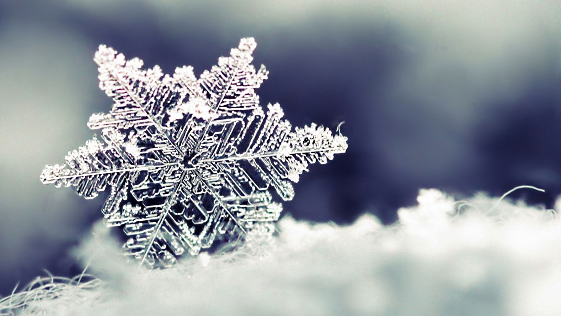 Wallpapershdview.com: Beautiful Winter Snowflakes HD Wallpapers ...