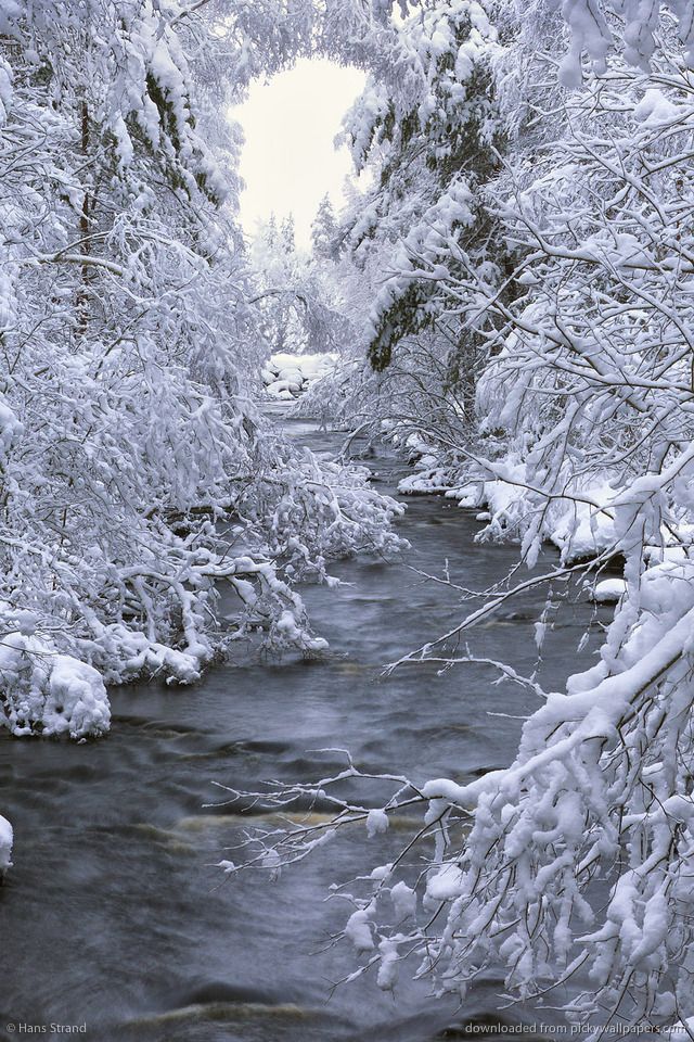 Download Swedish Winter Wallpaper For iPhone 4