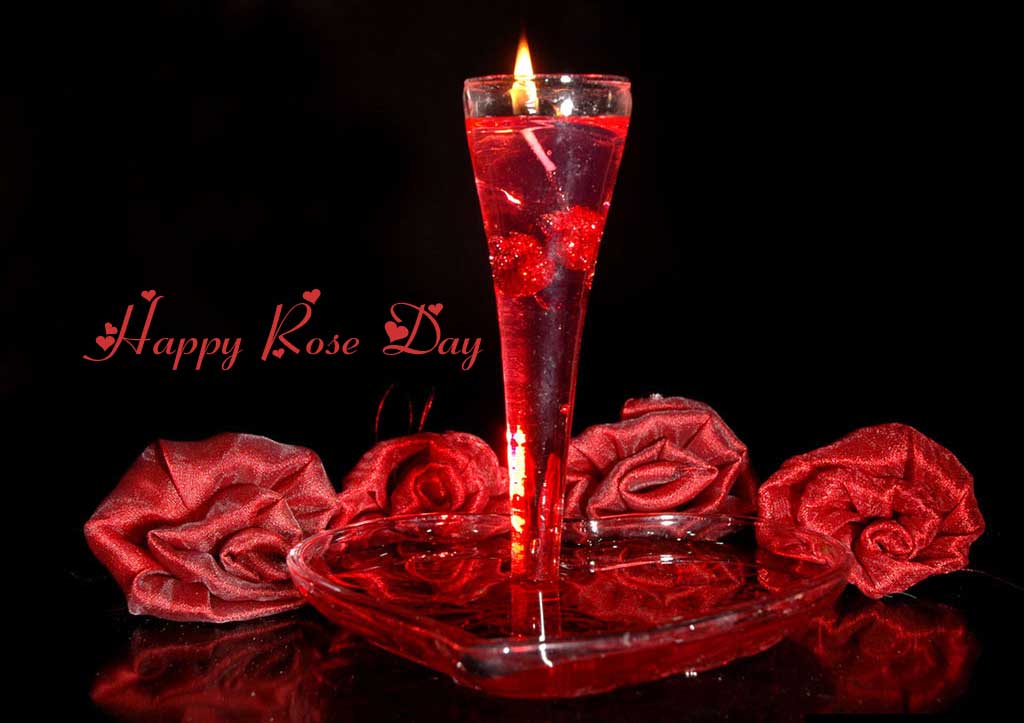 Happy Rose Day 2016 HD wallpapers - Freshmorningquotes