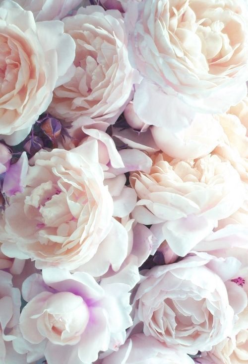 Floral iPhone Wallpaper iPhone Wallpapers Pinterest Peonies