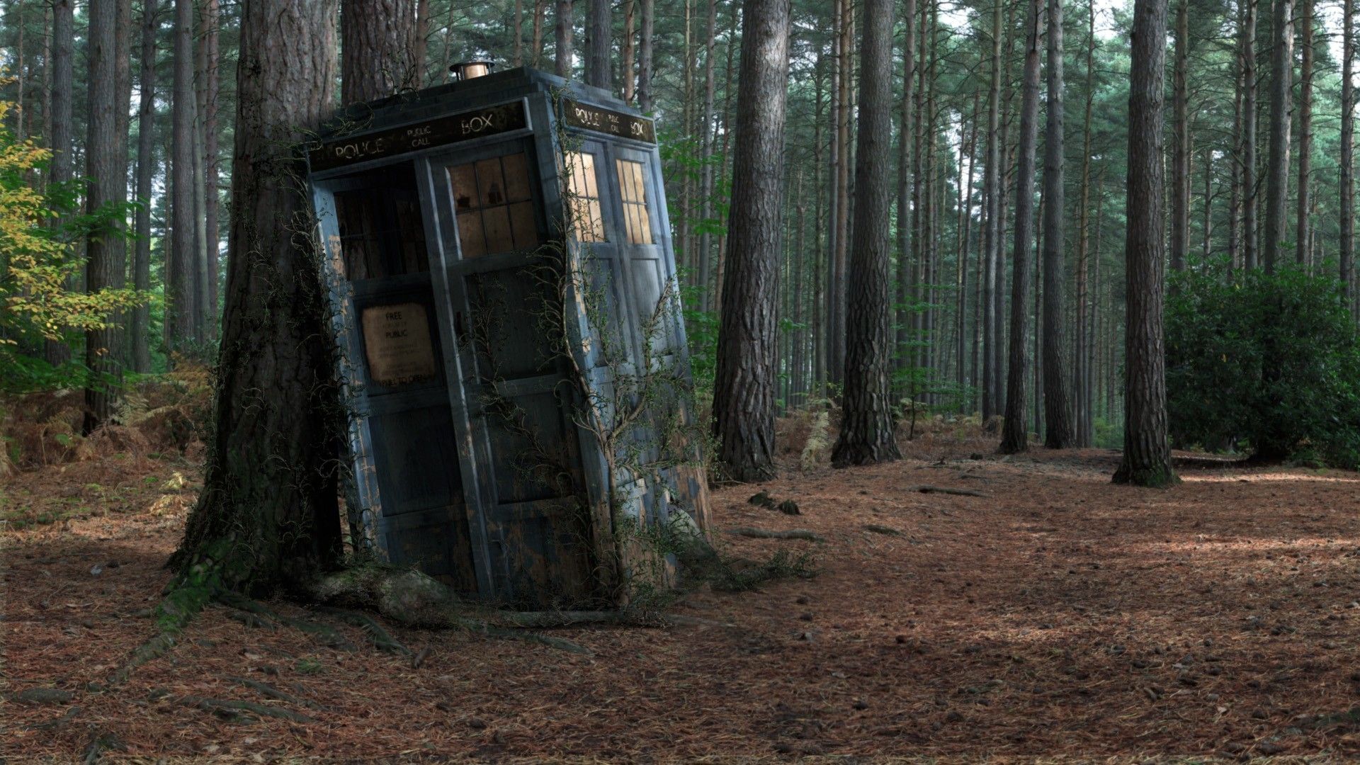 Abandoned TARDIS Doctor Who trees forest phone booth wallpaper ...