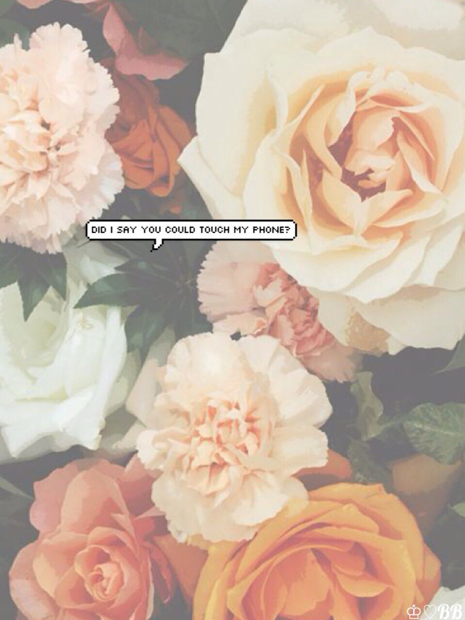 Internet Princesses♡♔ — iPhone 5 floral background + Transparent ...