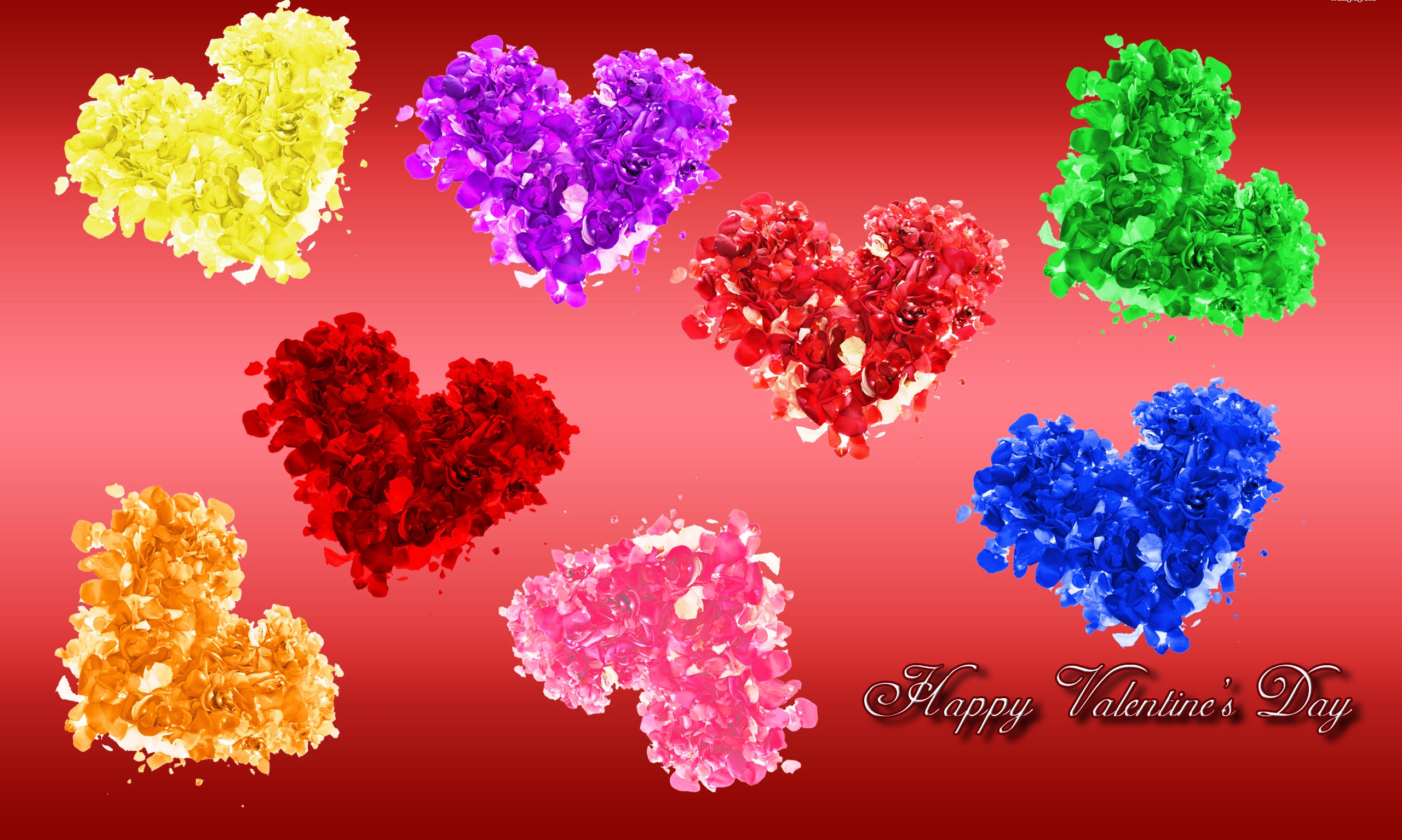 Beautiful Rose Valentine's Day Wallpaper - Universal Unique Tubes