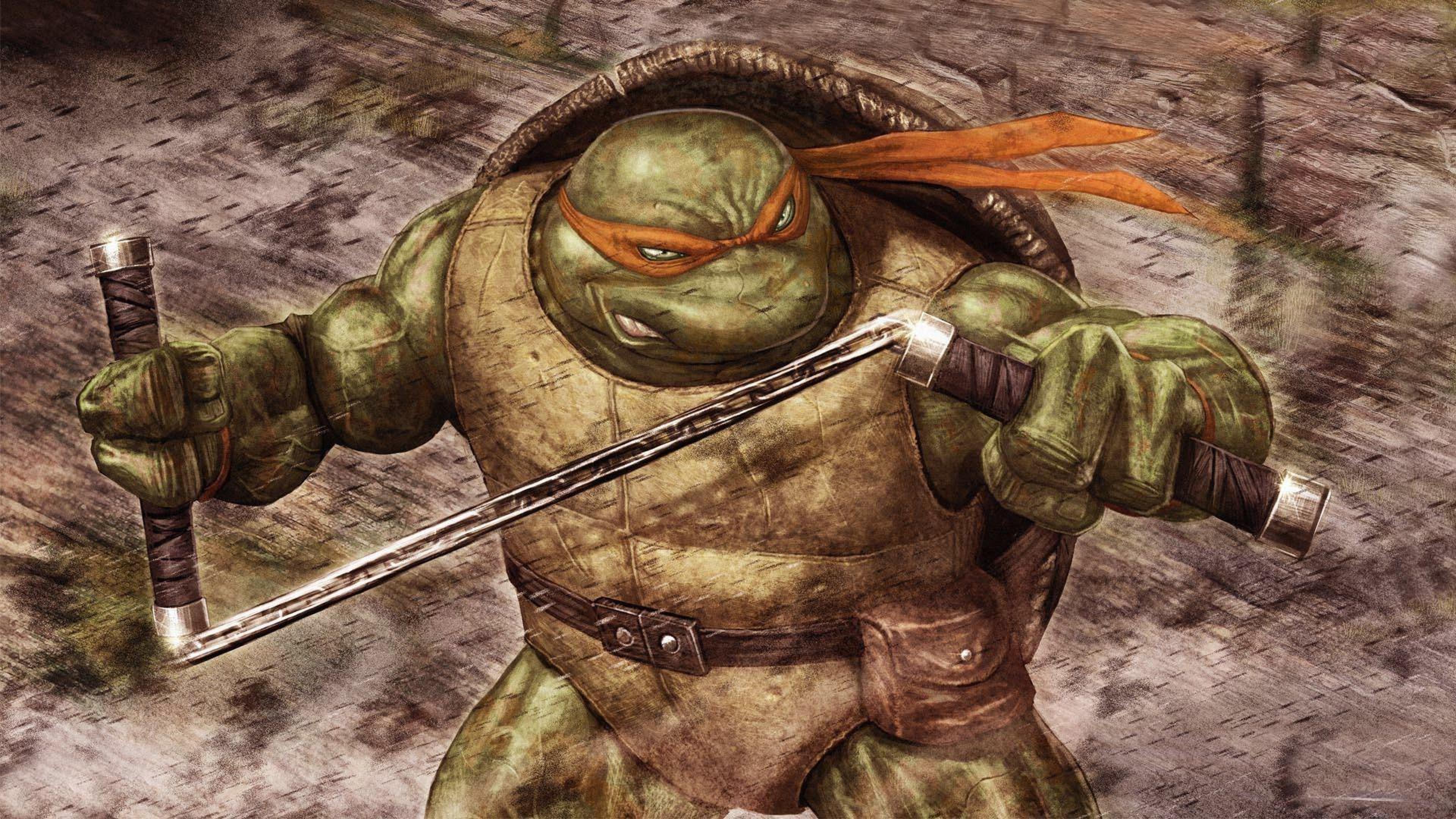 Michelangelo teenage mutant ninja turtles Mutant Ninja TMNT Comics ...