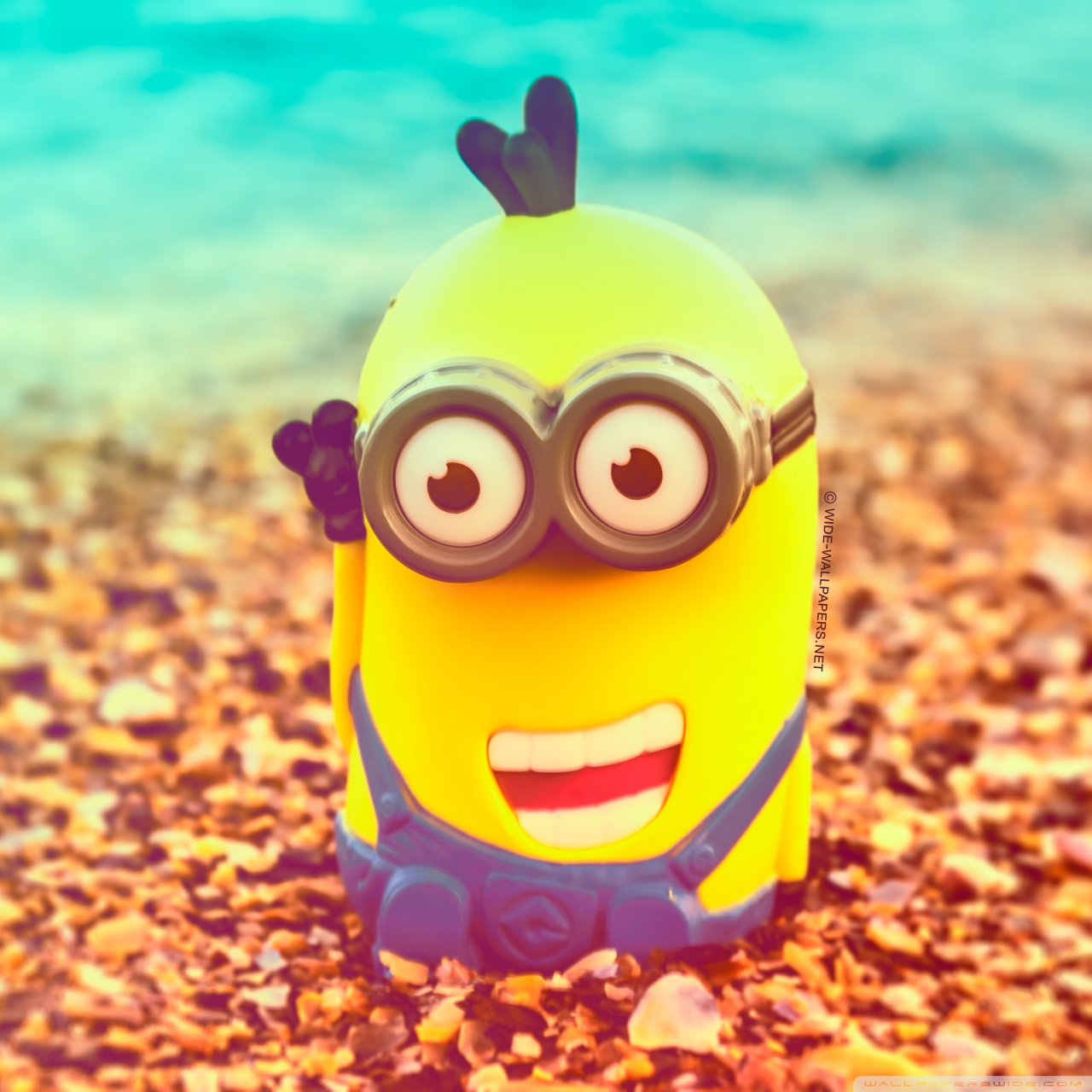 Minions Wallpaper For Android Tablet | loopele.com