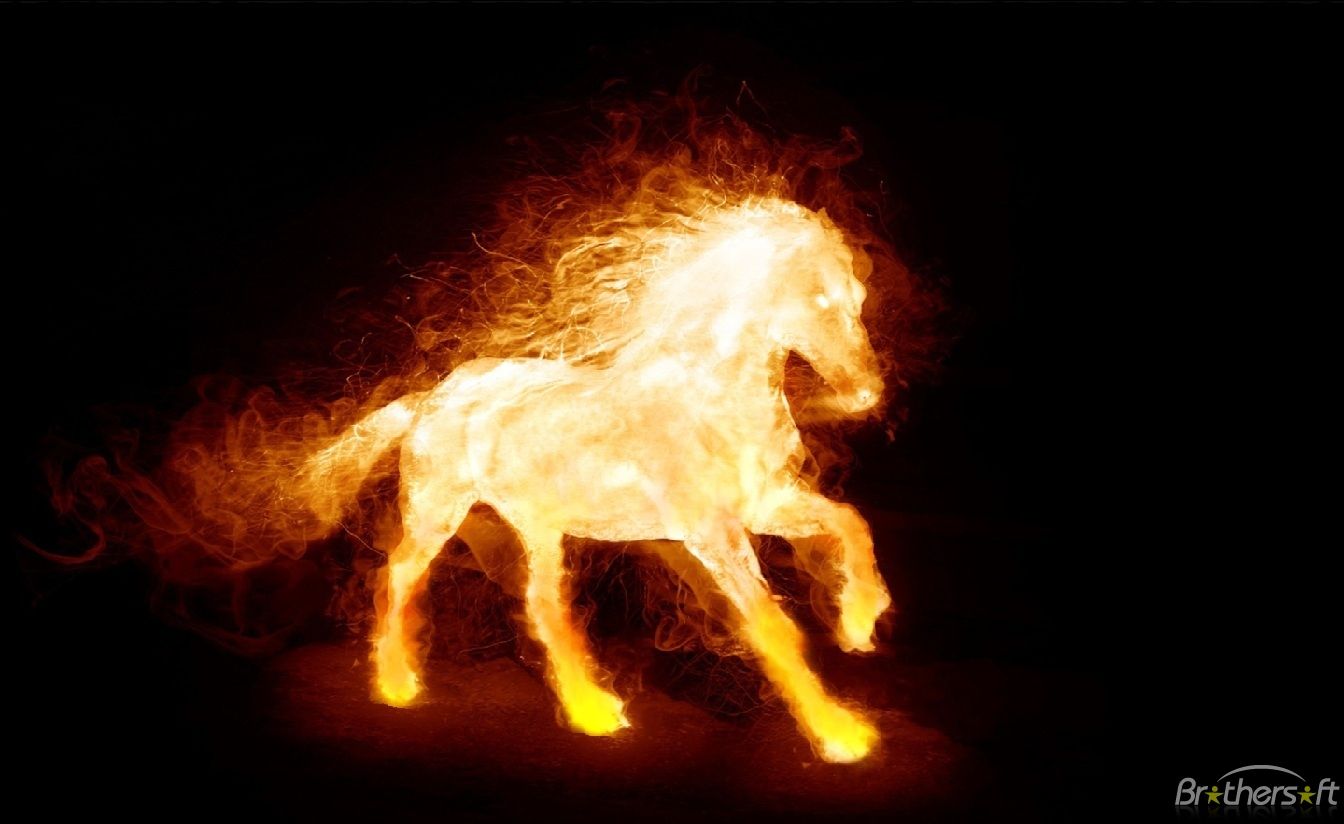 Download Free Fire Horse Animated Wallpaper, Fire Horse Animated