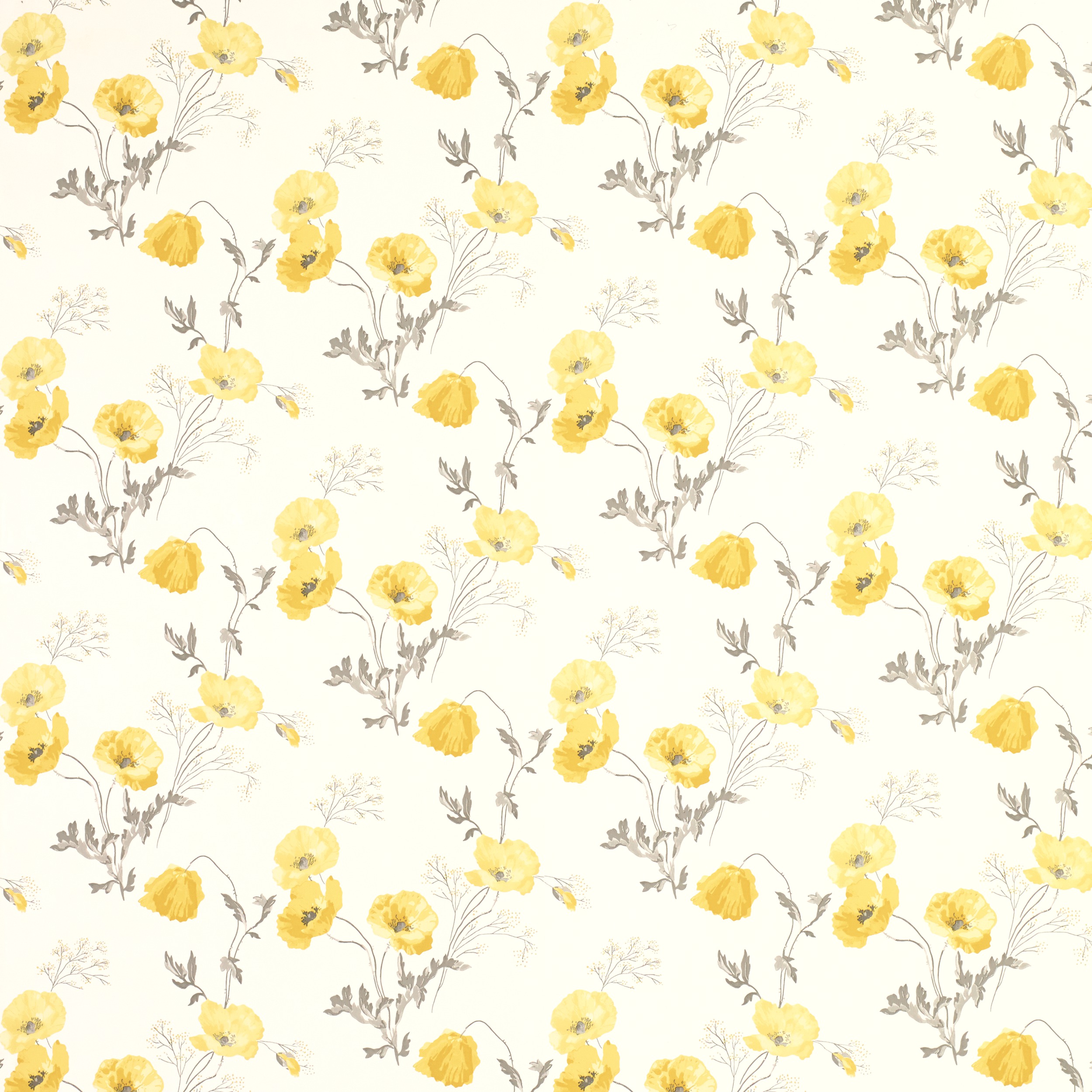 Poppy Meadow Primrose Yellow Floral Wallpaper at Laura Ashley