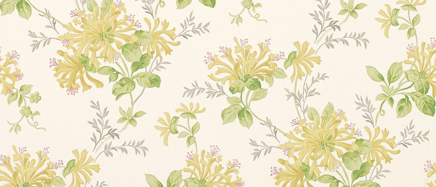 Honeysuckle Trail Camomile Yellow Floral Wallpaper at Laura Ashley