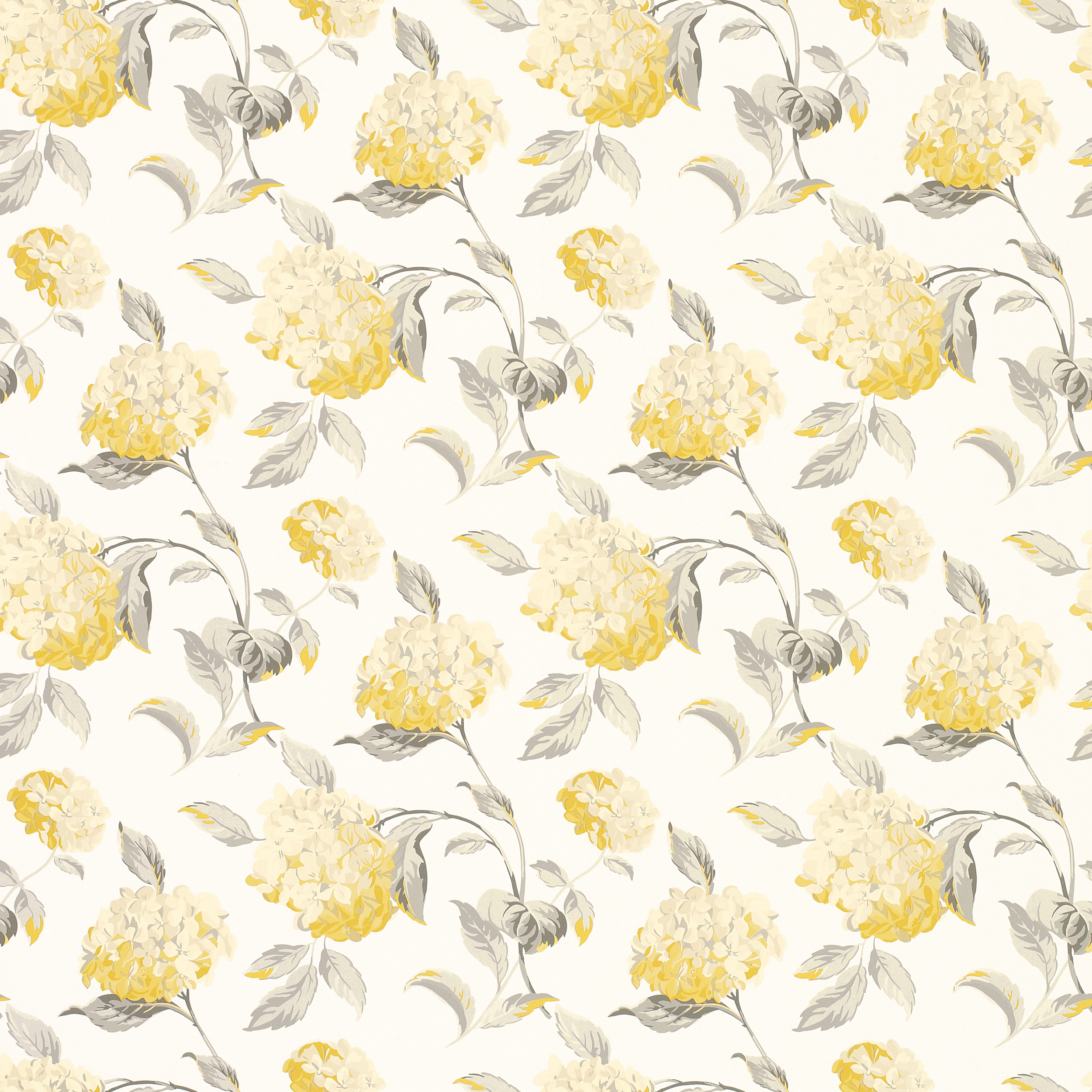 Hydrangea Camomile Floral Wallpaper at Laura Ashley