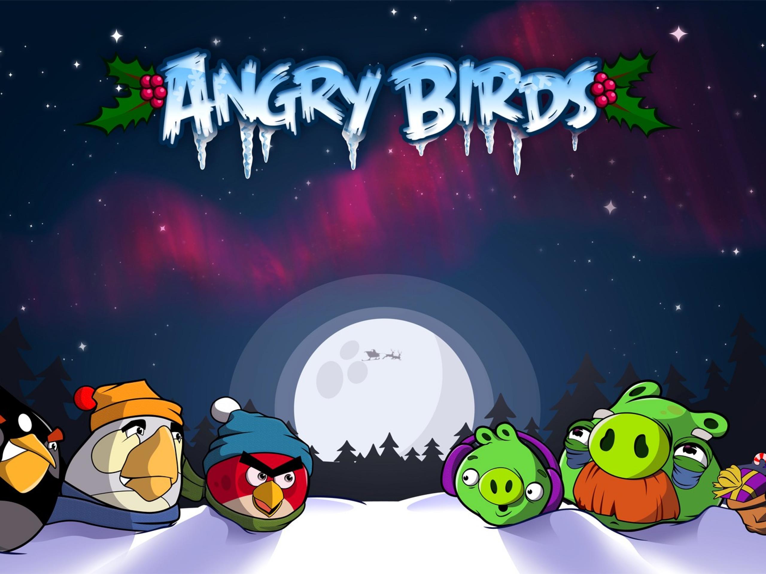 Angry Birds Seasons Hi Wallpapers 2014 |