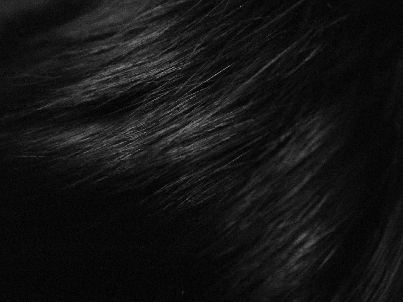 Hair Background Fifteen | Photo Texture & Background