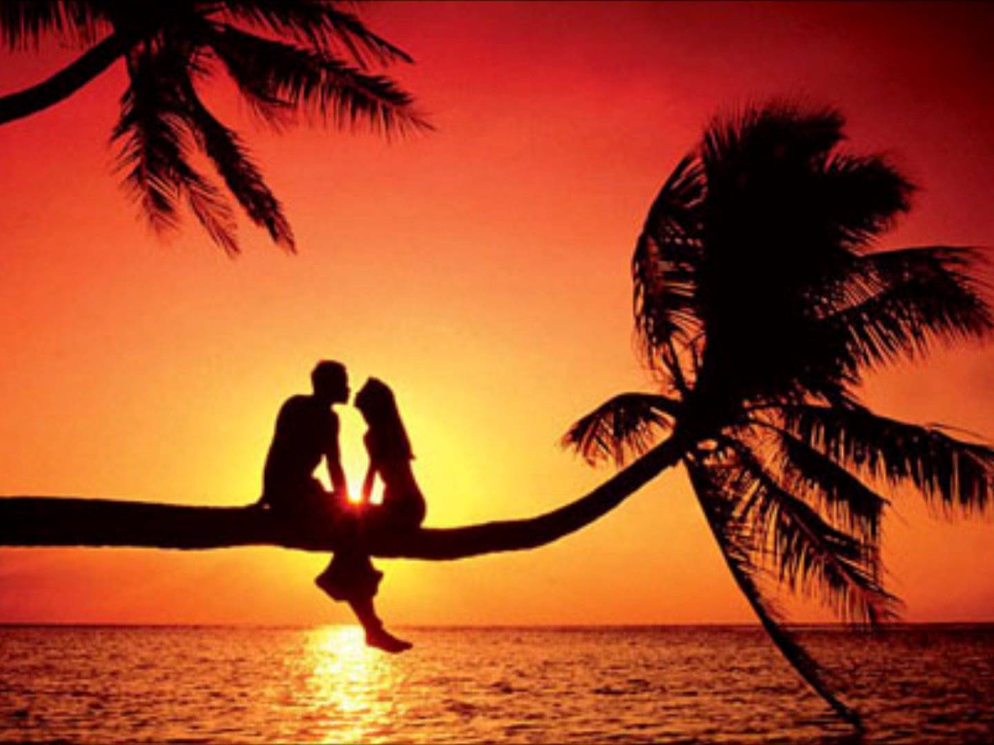 Sweet Lovers Image Wallpaper Download cool HD wallpapers here
