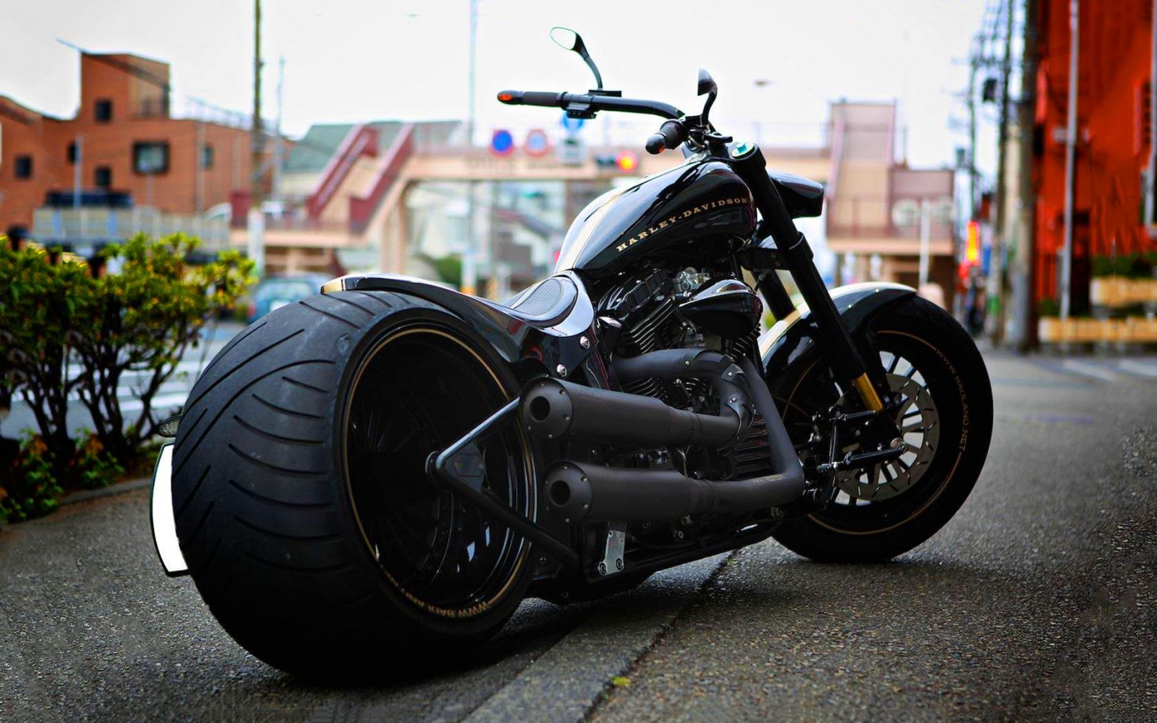 Harley Davidson Backgrounds