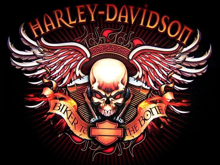 HD Pics Harley Davidson Motorcycles Custom Bikes Wallpaper, HQ ...