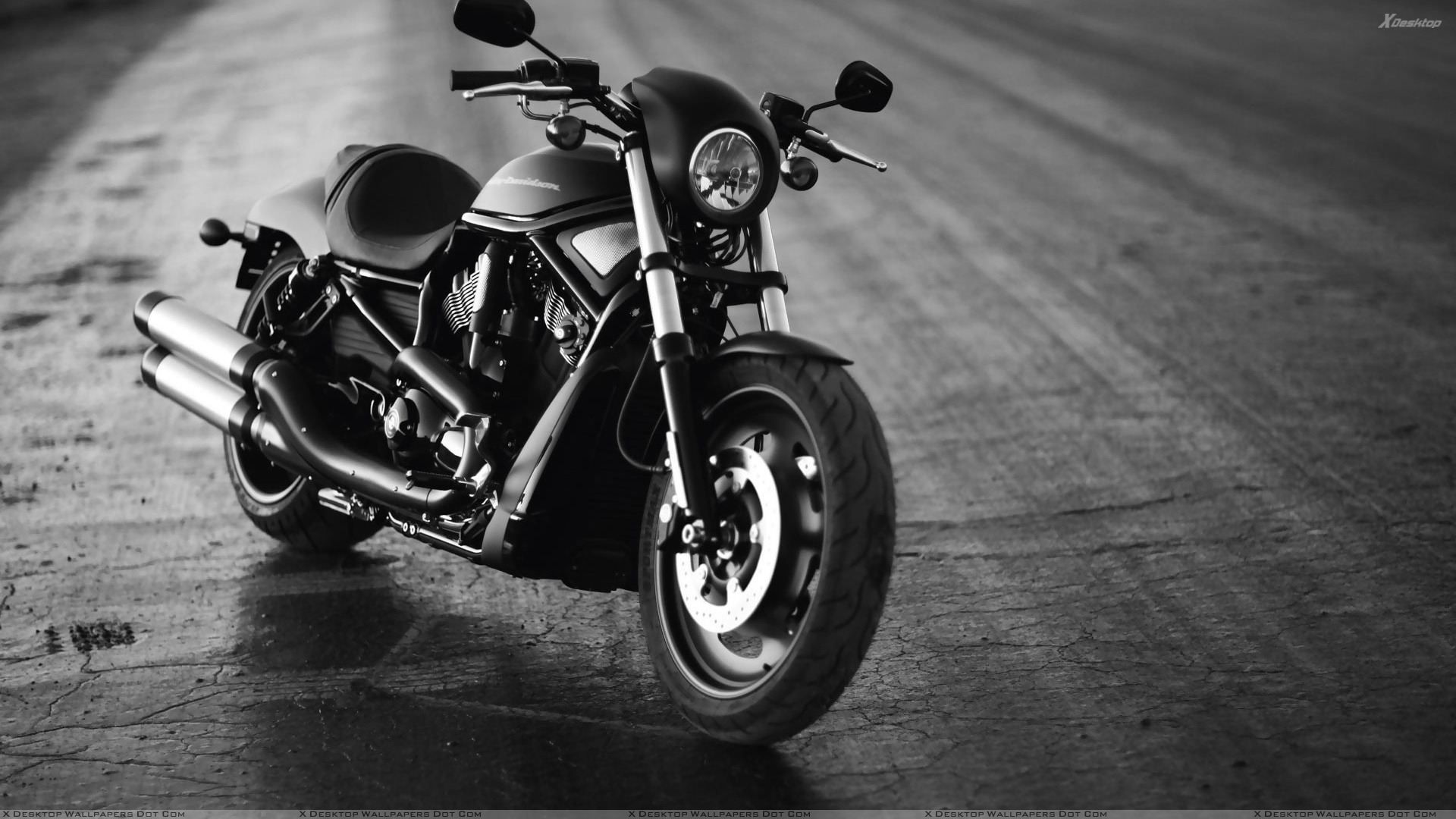 Harley Davidson Bikes Wallpapers Group 87