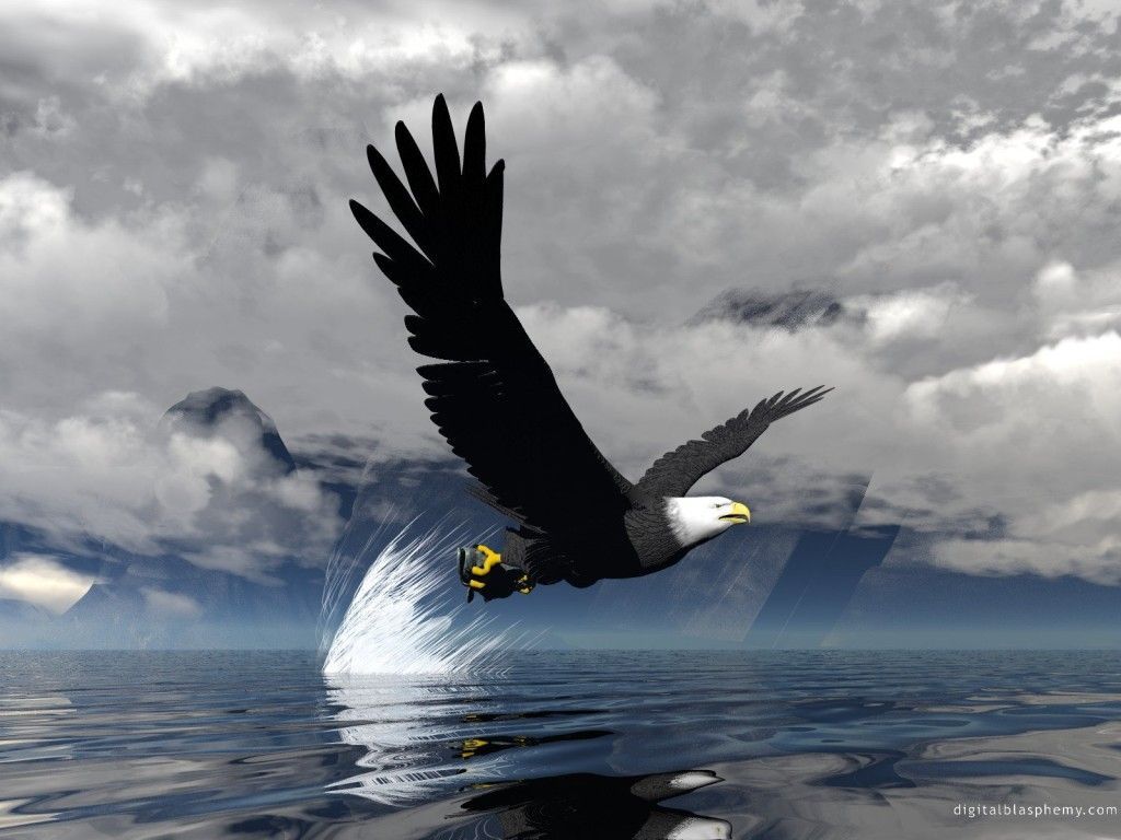 Eagle HD Wallpapers | Eagle New images and Pictures | Cool Wallpapers