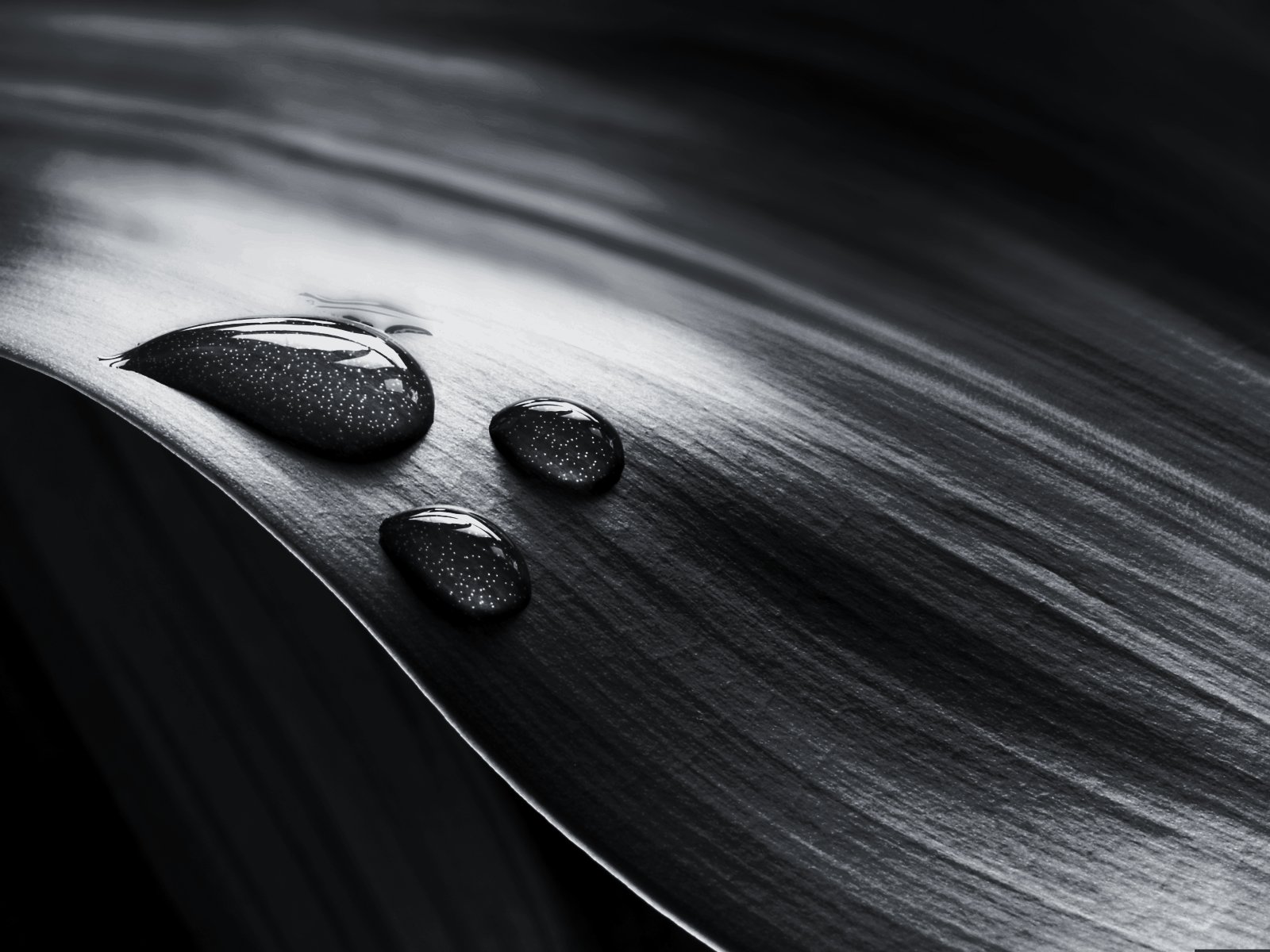 52 HD Black And White Wallpaper For Download
