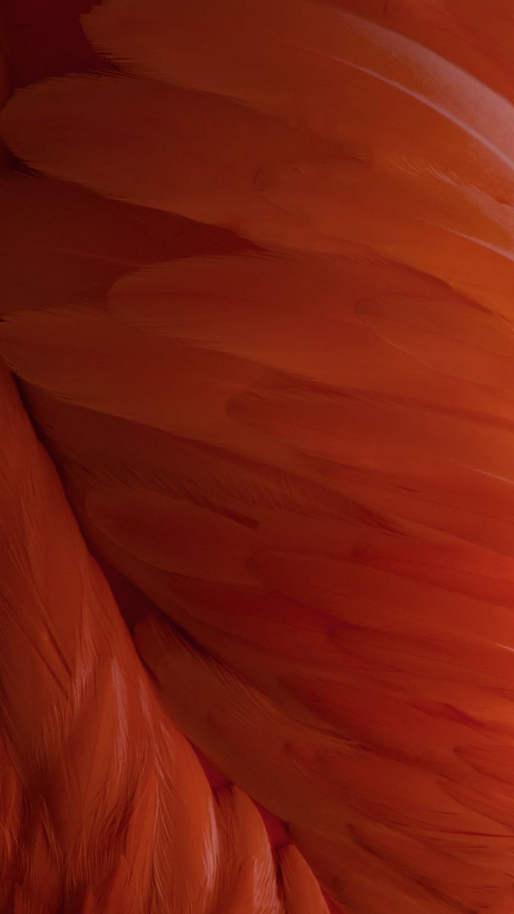 TODAY - Apple Releases 15 New iOS 9 Official iPhone Wallpapers ...