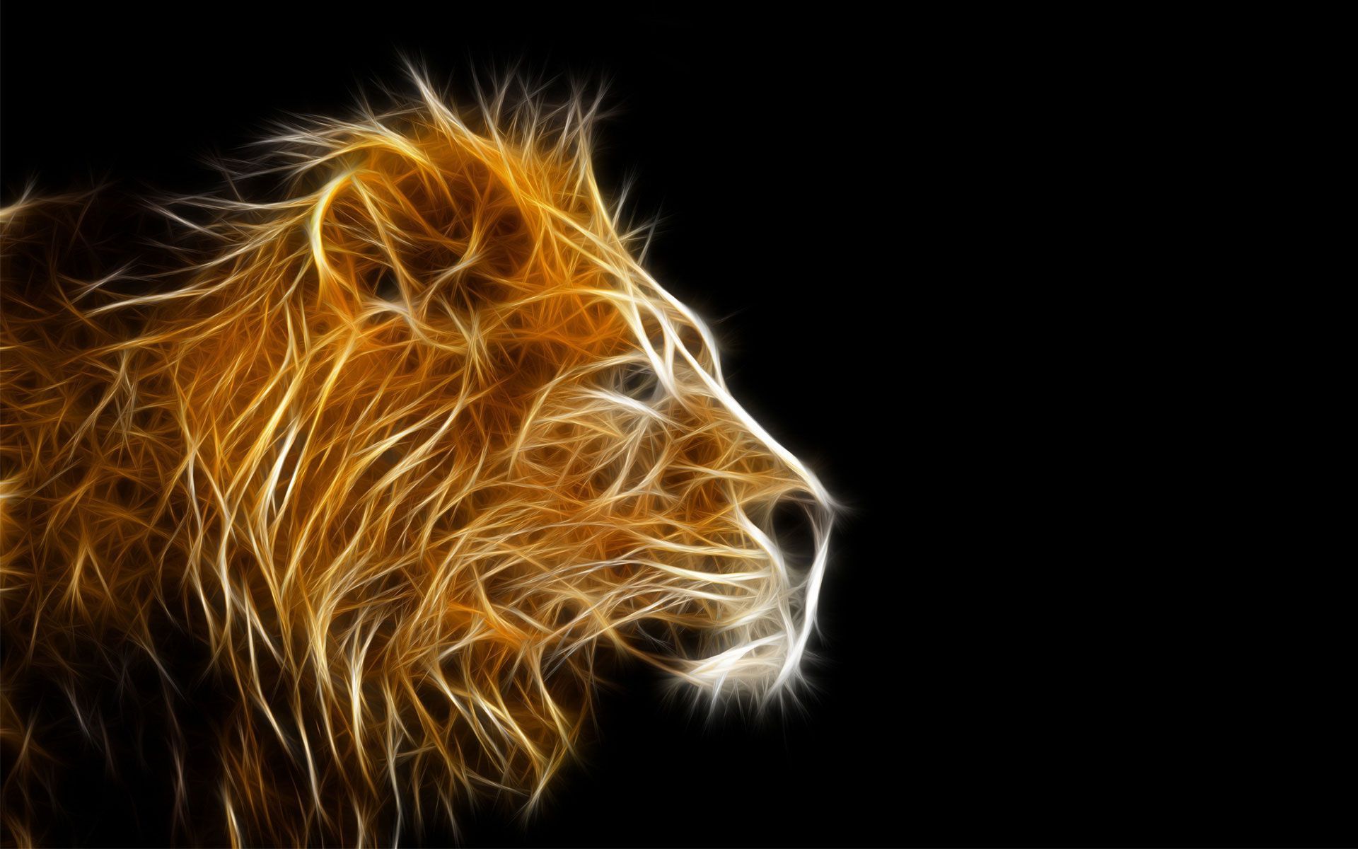 Best 3D Animal Wallpaper | HD Animated Animal Wallpaper