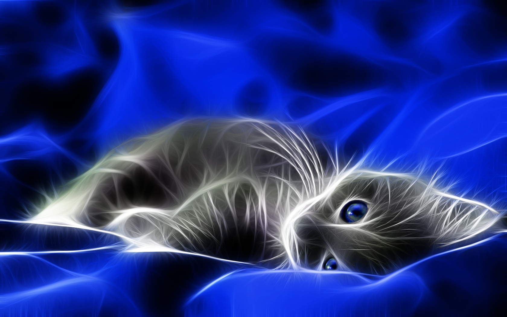 Animal Cat Sleep 3D Wallpaper HD #4892 #76 Wallpaper | MoshLab ...