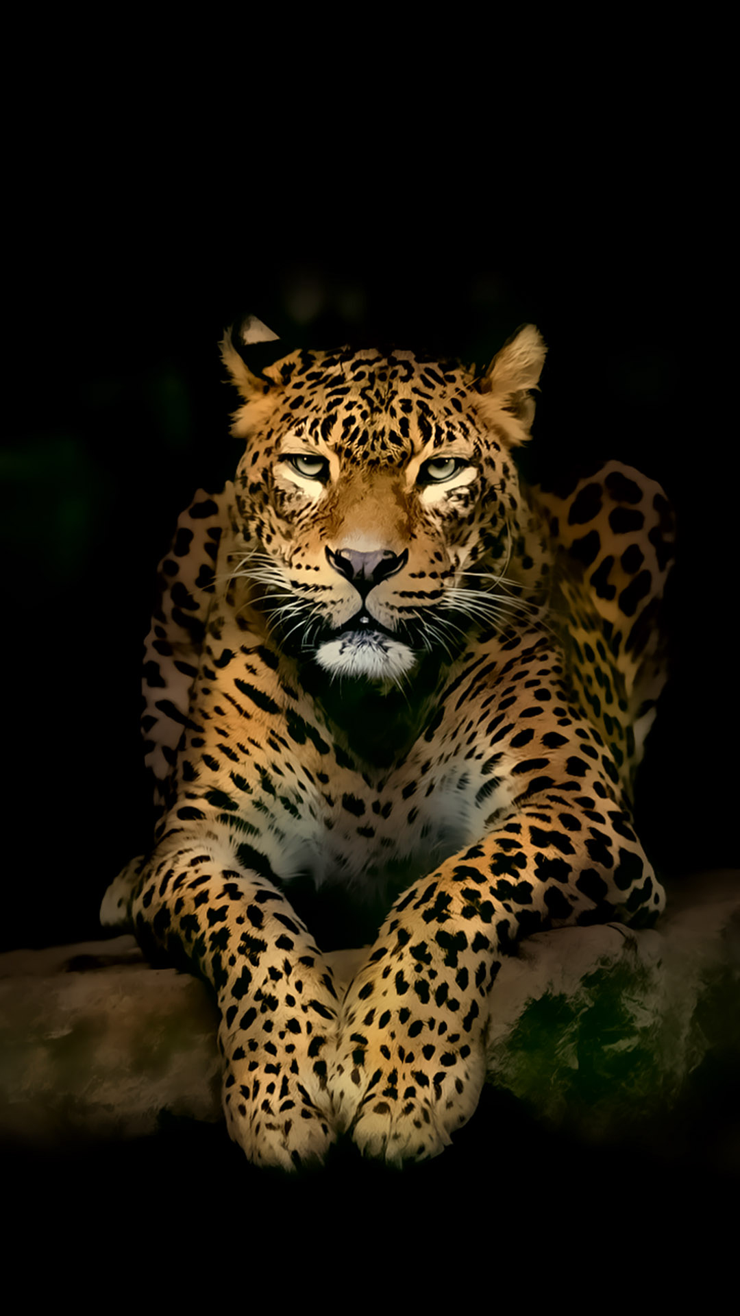 Serious Leopard 3D Spots Illustration Wild Animal | Android Wallpapers