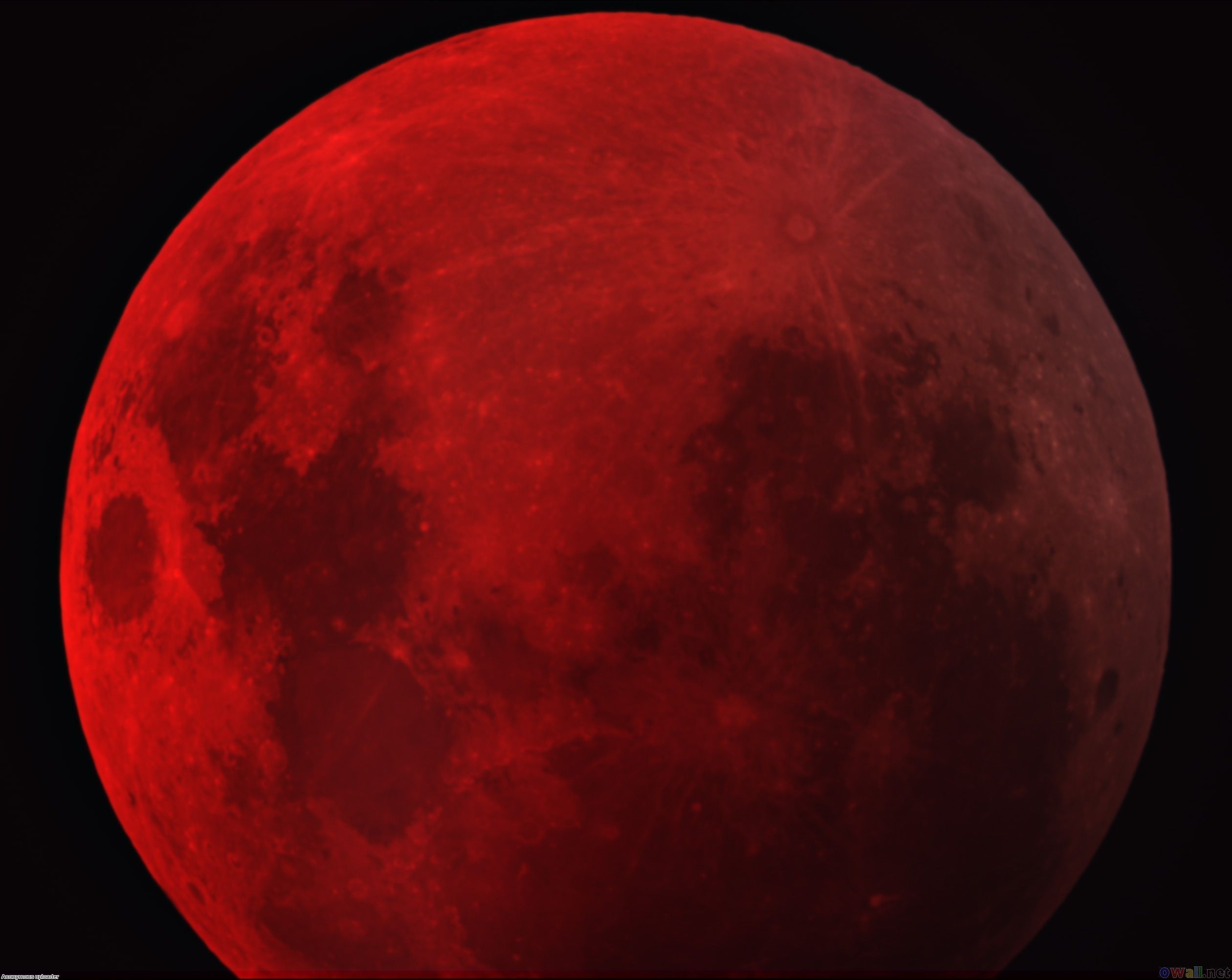 Red Moon Photos | HD Wallpapers Pulse