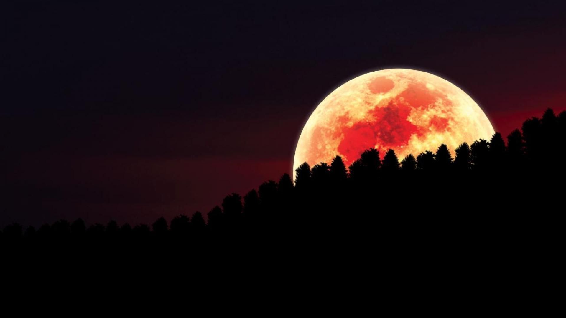 red moon over forest wallpaper - (#61368) - HQ Desktop Wallpapers ...