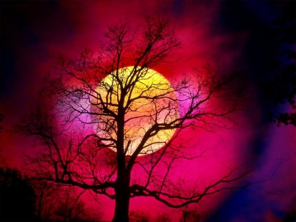 Download Free Red Moon Sky Wallpaper Download The Free Red Moon ...
