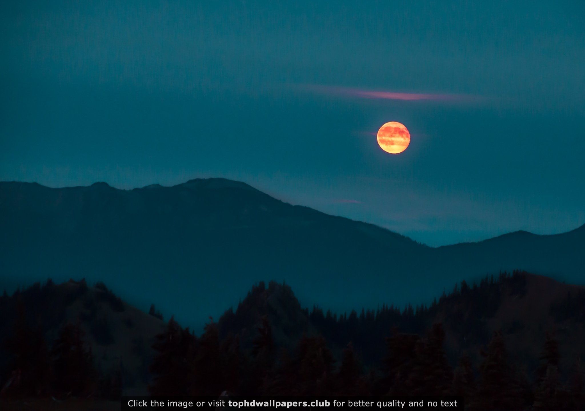 Once in a Red Moon Olympic National Park 4K or HD wallpaper for ...