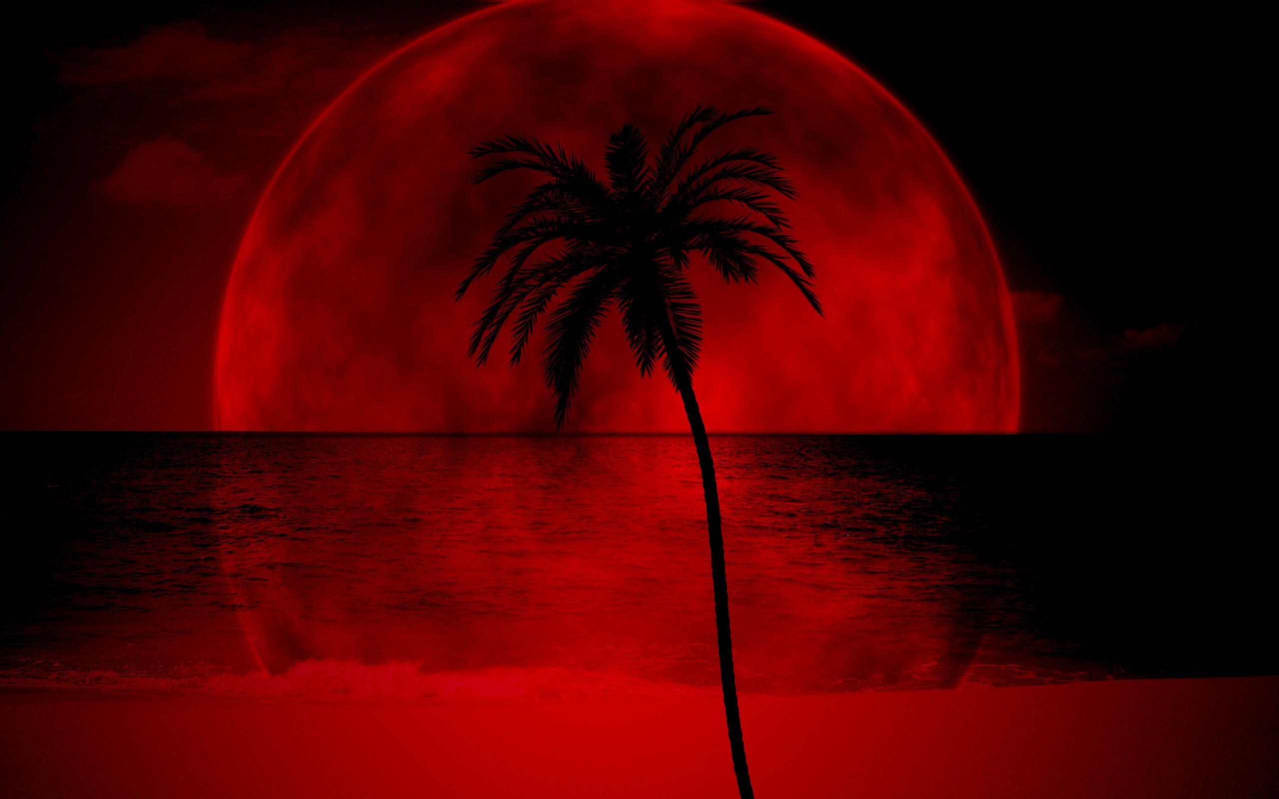 Wallpaper #381 Moon palm | Red and Black Wallpapers