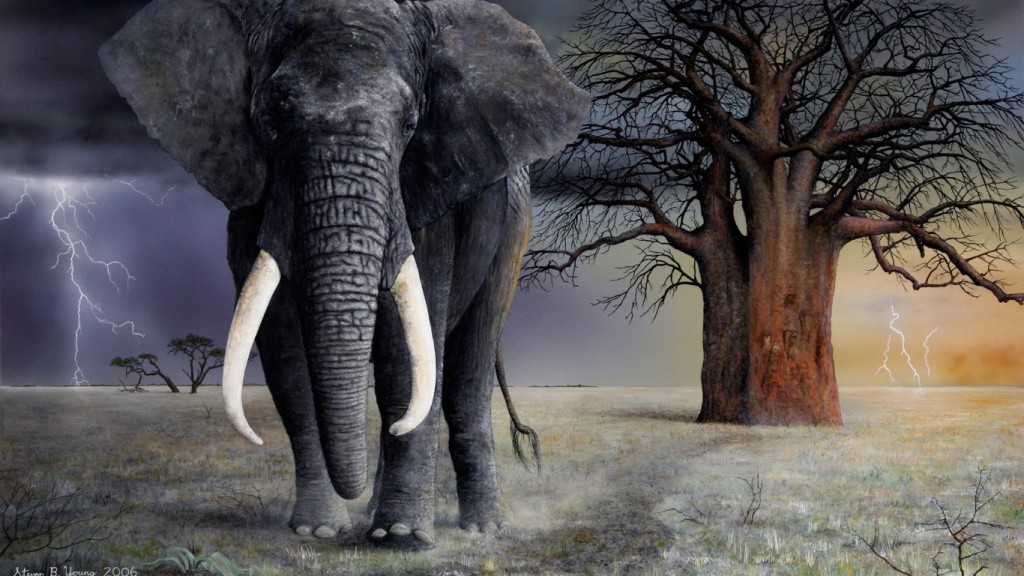 Awesome Elephant Wallpapers for Your Desktop - Magazine Fuse