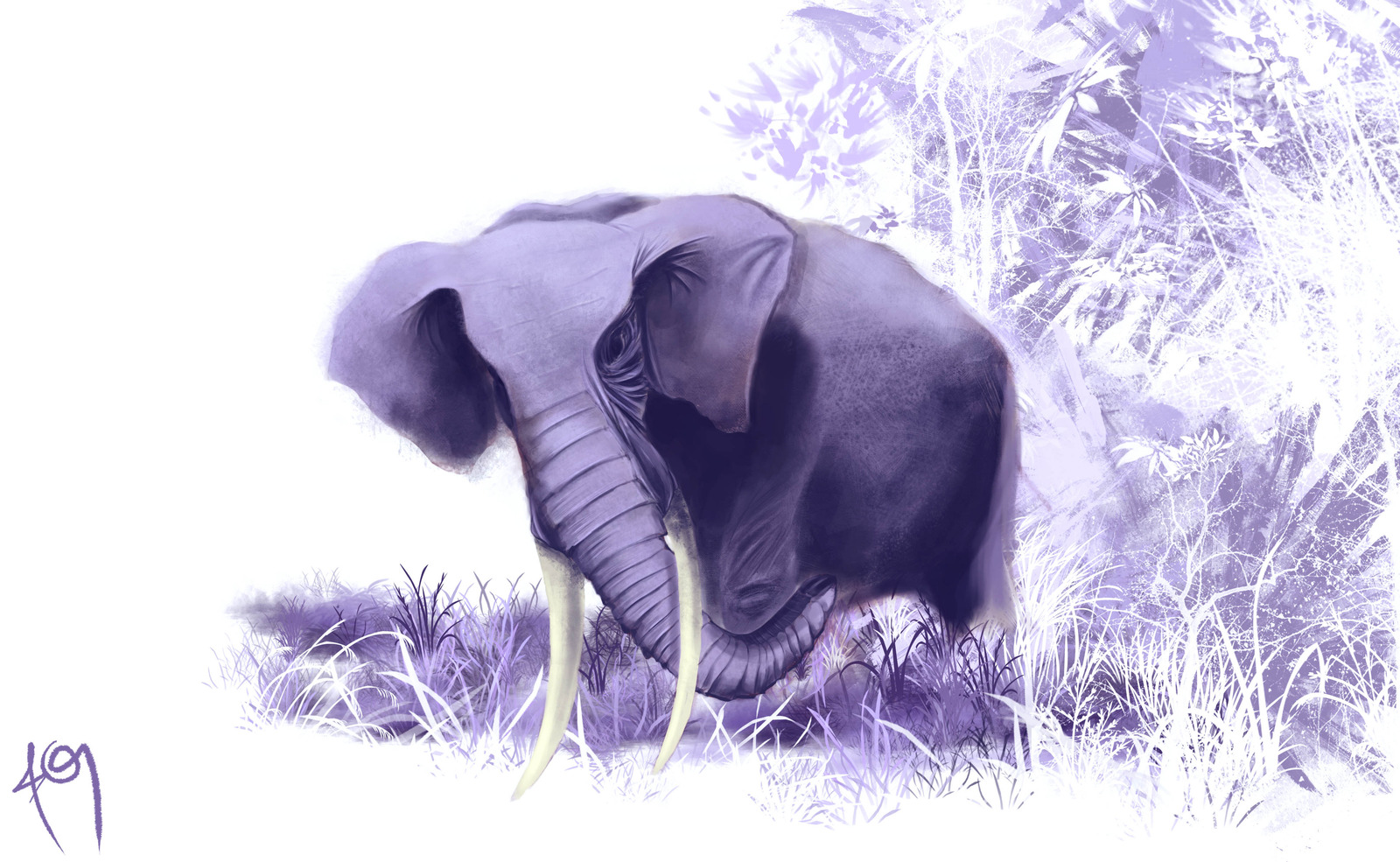 Elephant Computer Wallpapers, Desktop Backgrounds | 1600x985 | ID ...