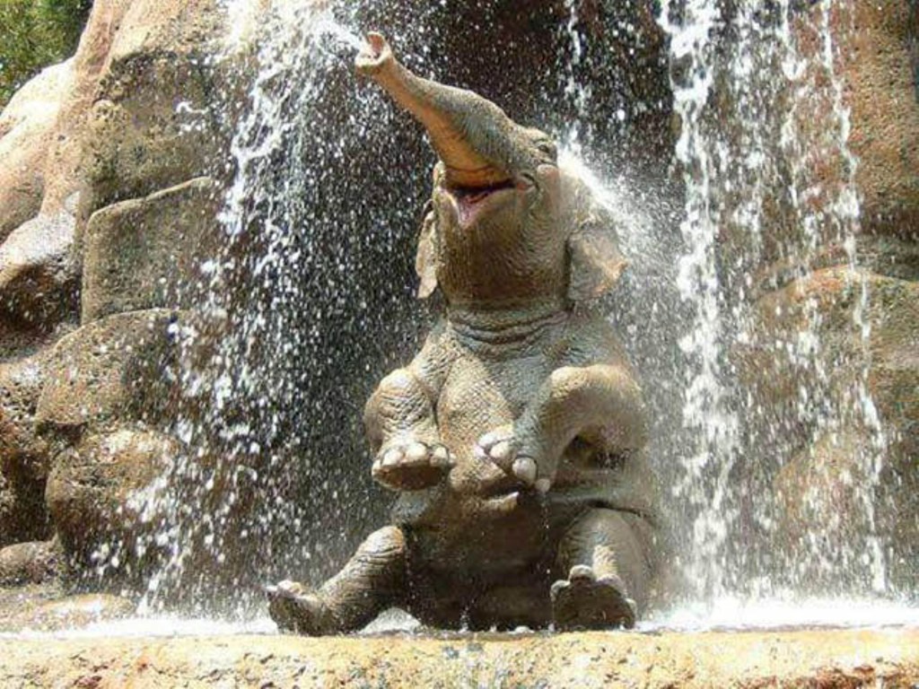 Baby Elephant In Waterfall Wallpaper #11751 Wallpaper ...