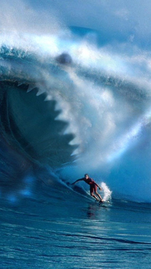 Wallpaper Iphone 5 S Shark Wave Surf 640 X 1136 - 640 x 1136 ...