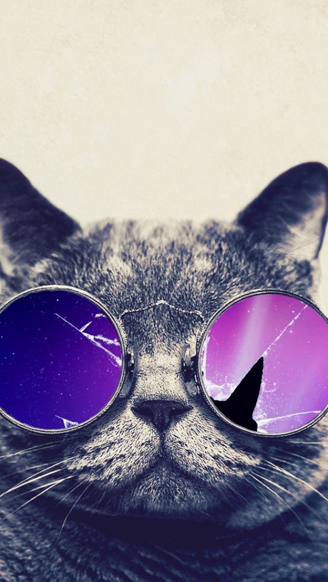 Funny Cat With Big Glasses iPhone 5 Wallpaper | ID: 33989
