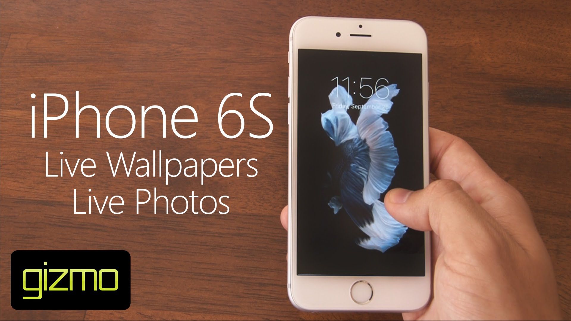iPhone 6S - Live Wallpapers & Photos - YouTube